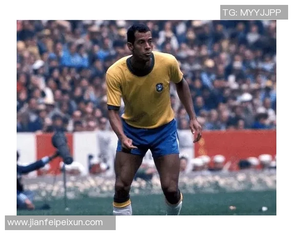 传奇防守员足球明星的辉煌历程与影响力分析