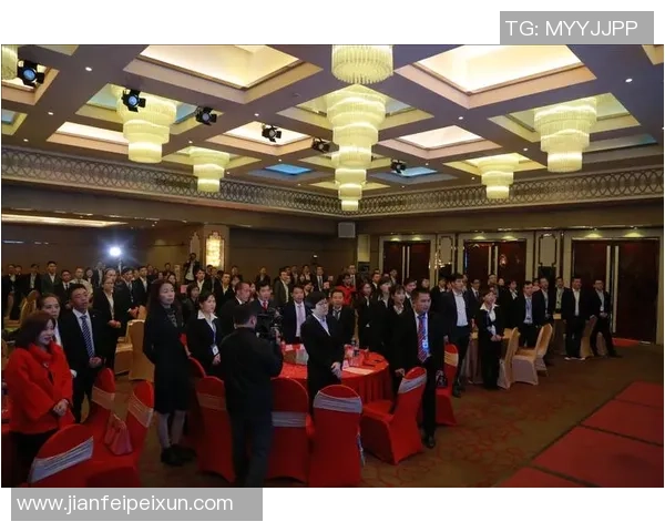 深圳篮球队在联合会杯中的拼搏历程与荣耀时刻全景回顾