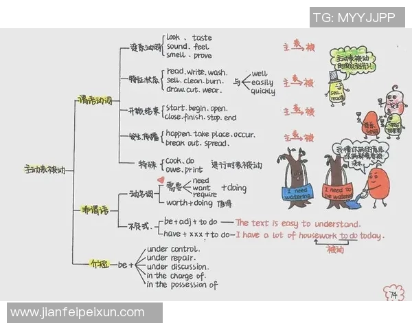 探索WE战队快攻体系的战术奥秘与实战应用解析