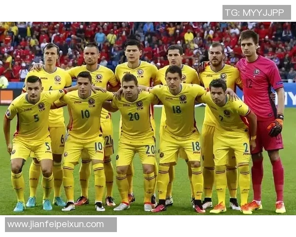 科索沃国家足球队最新球员名单及其在国际赛场上的表现分析