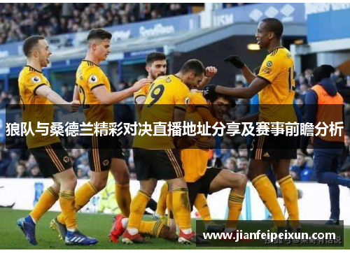 狼队与桑德兰精彩对决直播地址分享及赛事前瞻分析